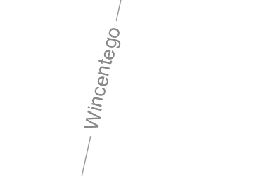 Opisana ulica w ZWCADzie